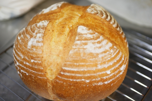 天然酵母パンの作り方 中種法の基本とカンパーニュのレシピ